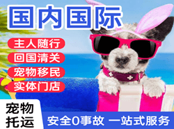 三义机场托运国际宠物托运 【国